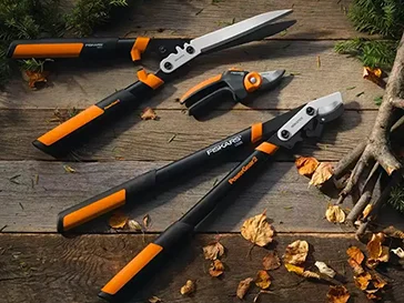 قیچی و چاقو